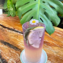 Lychee strom
