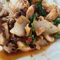 กระเพราคอหมึก (มีเอ็นหมึกผสม) (กับข้าว)