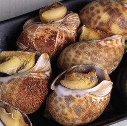 หอยหวานนึ่ง