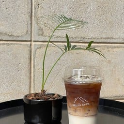 เชิญนั่ง CUPS milk&cafe
