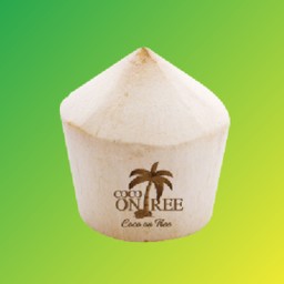 มะพร้าวควั่นขาว