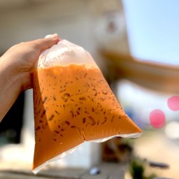 ชานมเย็นถุง