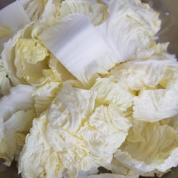 ผักกาดขาวหั่น