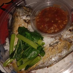 คิตตี้ข้าวกระเพราเดือด