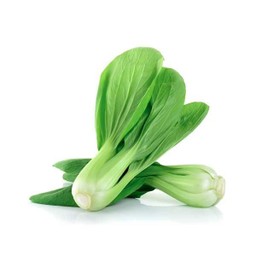 กวางตุ้งใต้หวัน