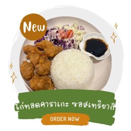 ข้าวไก่ทอด ซอสเทริยากิ ไก่ทอดคาราเกะ ปลาทอดซอสน้ำปลา - One Day