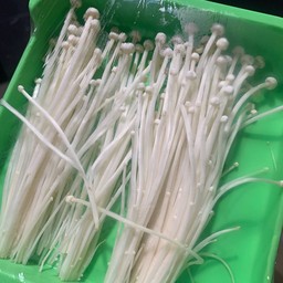 เห็ดเข็มทองจ้า 1 ถาด