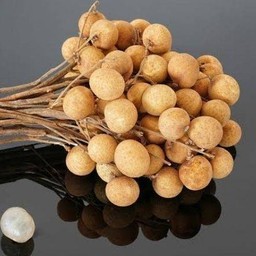 ร้านผลไม้(ตึกบางกอกปาร์ค)