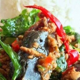 ข้าวกะเพราไข่เยี่ยวม้า