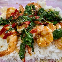 ข้าวราดกระเพรากุ้ง