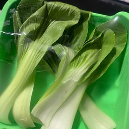 กวางตุ้ง 1 ถาดจ้า