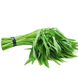 ผักบุ้ง