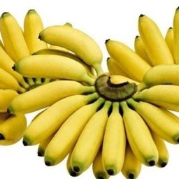 กล้วยไข่