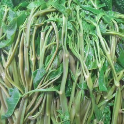 ผักบุ้งลวก