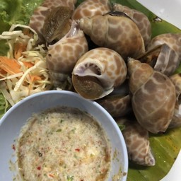 หอยหวานลวกจิ้ม