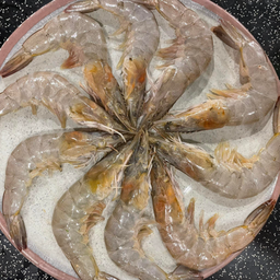 กุ้ง จานใหญ่