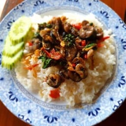 หิวมั้ย