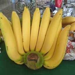 กล้วยหอมสุกหวีใหญ่จับโบ้1หวี 3.5-4gk