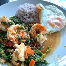 กะเพราข้างบ้าน