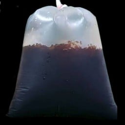 ดับเบิ้ลชา สาขาซอยวัดกู้ สาขาซอยวัดกู้