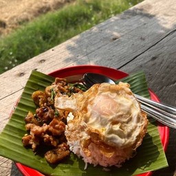 ข้าวกะเพรากากหมู