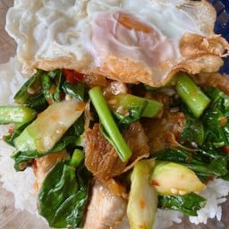 คะน้าหมูกรอบราดข้าว