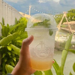 น้ำผึ้งมะนาวโซดา