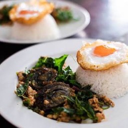 ข้าวกระเพรากรอบไข่เยี่ยวม้า