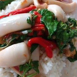 กะเพราปลาหมึกราดข้าว