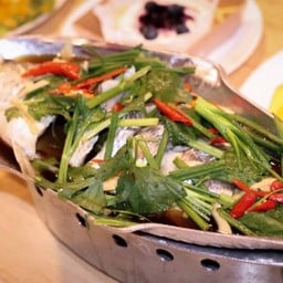 ปลากระพงนึ่งซีอิ๊ว