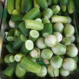 ผักสด (ตามฤดูกาล)