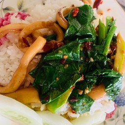 ข้าวราดคะน้าปลาหมึก