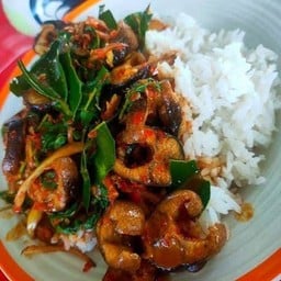 ผัดเผ็ดปลาไหลราดข้าว