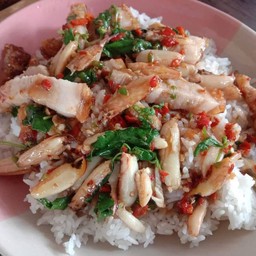 กะเพราปู