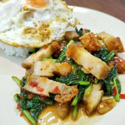 ผัดกะเพราราดข้าว