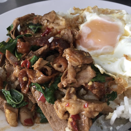 ข้าวกระเพราเป็ด