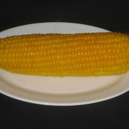 CORN ON THE COB