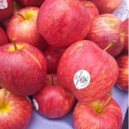 แอปเปิ้ลกาล่านิวสิแลนด์ 10 ลูก แถมฟรี 1 ลูก