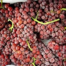 องุ่นไข่ปลาไร้ 2 กิโลกรัม