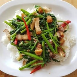 แม่จิ๋วก๋วยเตี๋ยว-อาหารตามสั่ง