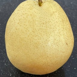 สาลี่น้ำผึ้ง