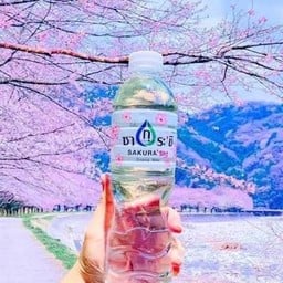 น้ำเปล่า 600ml