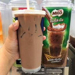 ไมโล (เย็น)