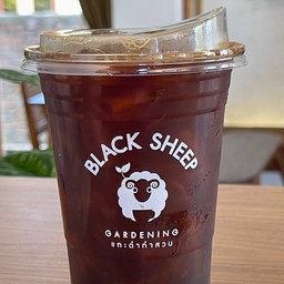 อเมริกาโน่