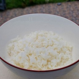 ข้าวญี่ปุ่น