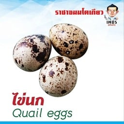 ราชาขนมโตเกียวเพชร ไส้ไข่นกกระทา