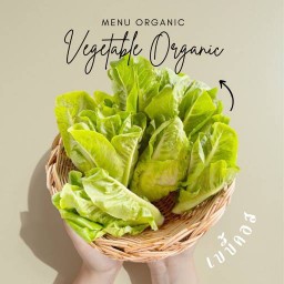 บิ๊กออร์แกนิค by บิ๊กบะหมี่