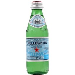 S.Pellecrino sparking water 500 ml