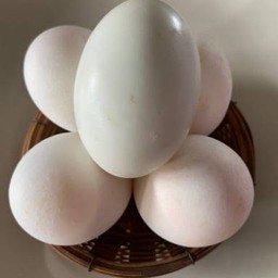 ไข่เค็ม1ฟอง