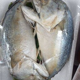 เพราะเรารักกัน(ปลาทูนึ่งแบบไม่ทอดชุด2ตัว)